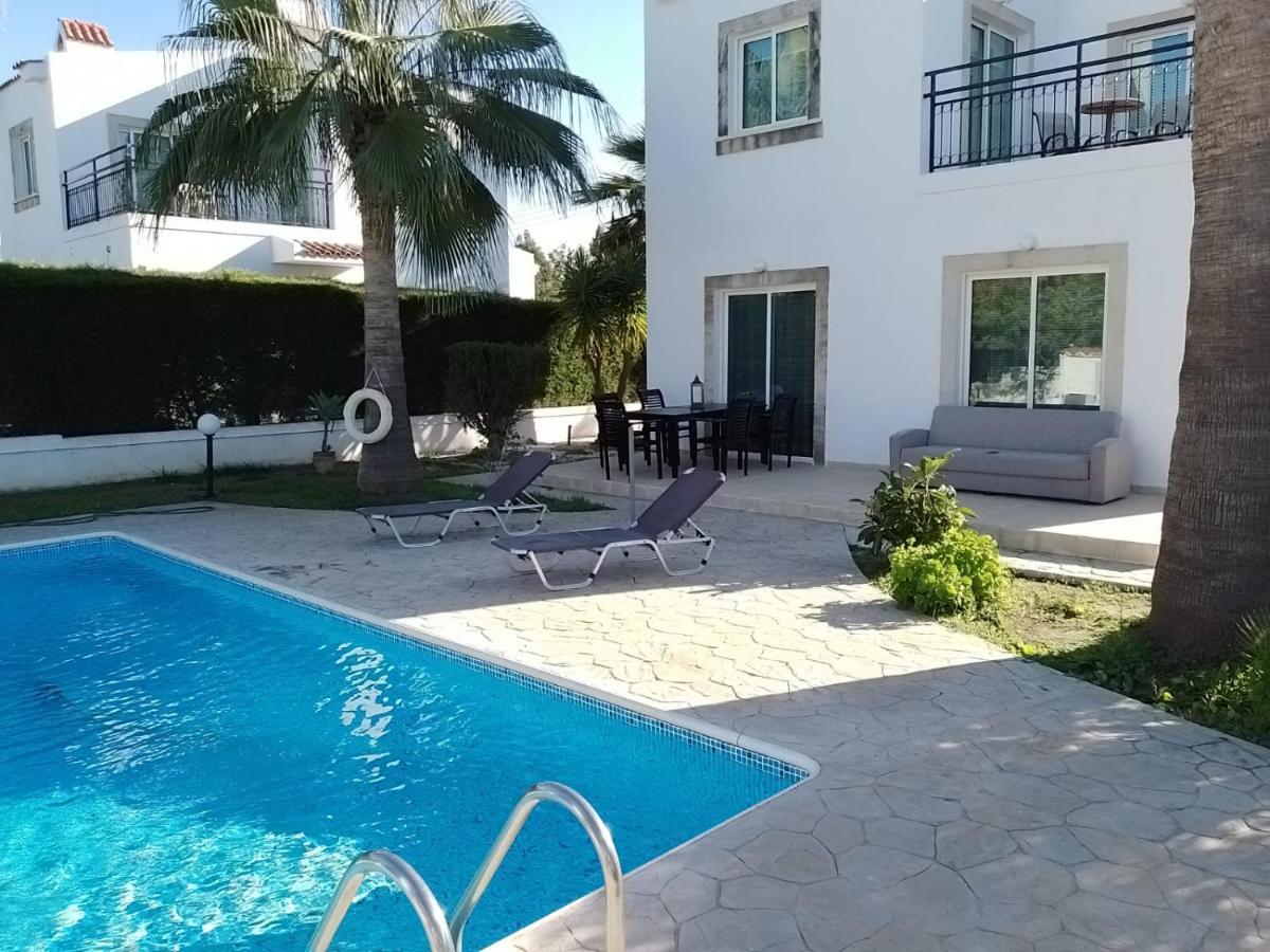 Villa Chrysanthemum Neo Chorio Dış mekan fotoğraf
