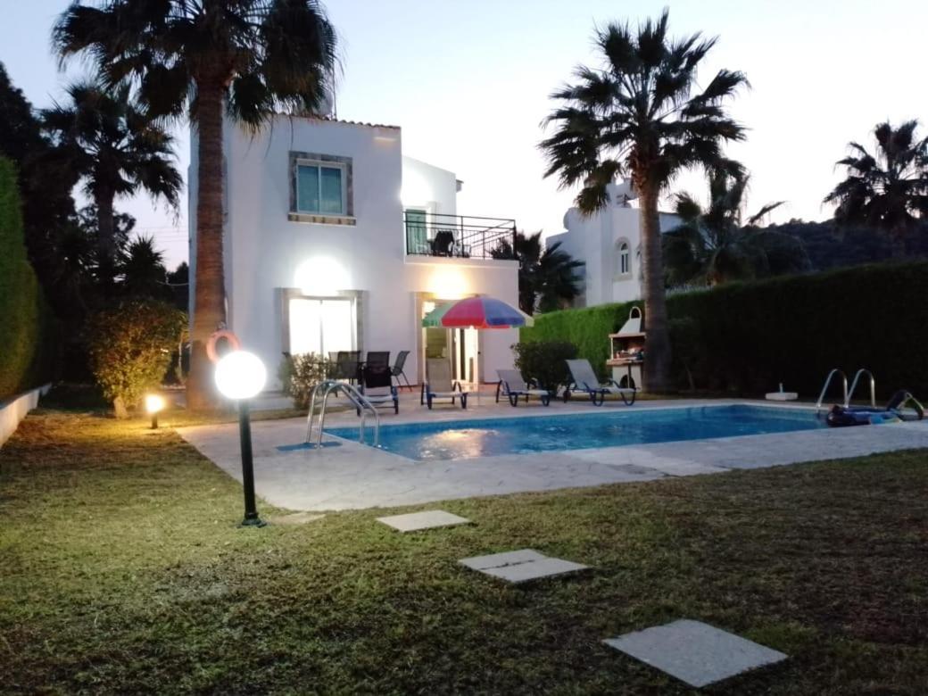 Villa Chrysanthemum Neo Chorio Dış mekan fotoğraf