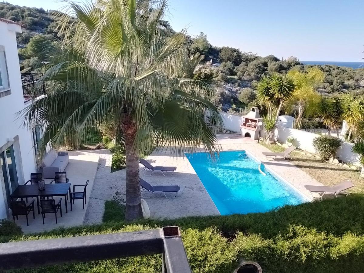 Villa Chrysanthemum Neo Chorio Dış mekan fotoğraf