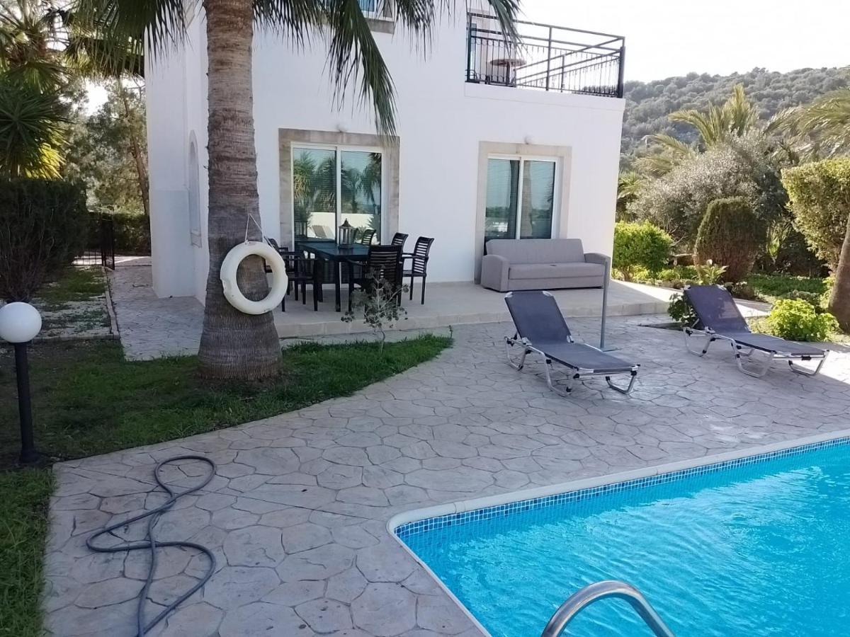 Villa Chrysanthemum Neo Chorio Dış mekan fotoğraf