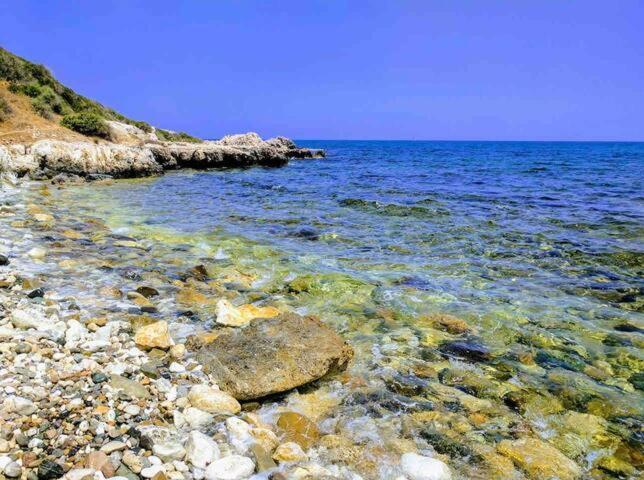 Villa Chrysanthemum Neo Chorio Dış mekan fotoğraf