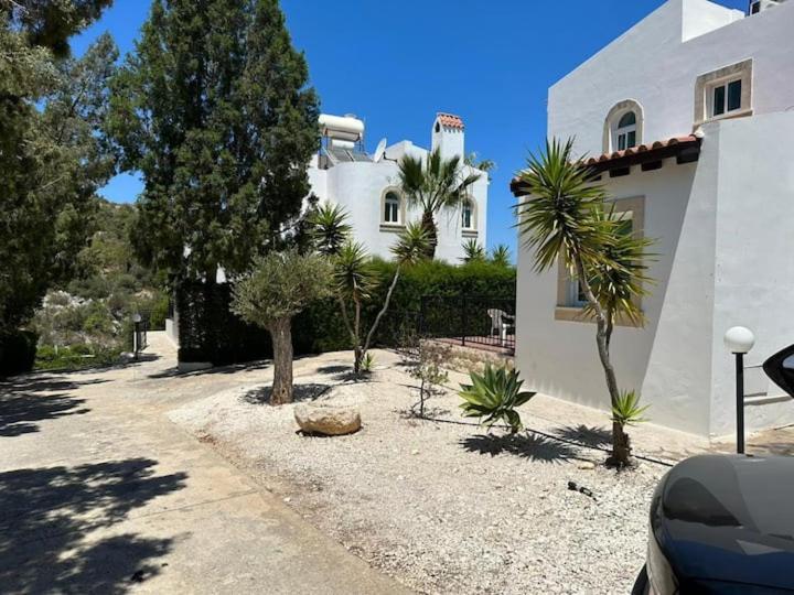 Villa Chrysanthemum Neo Chorio Dış mekan fotoğraf